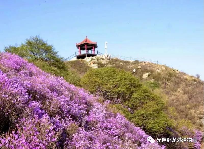 首页| w66集团中国最老牌官方网站